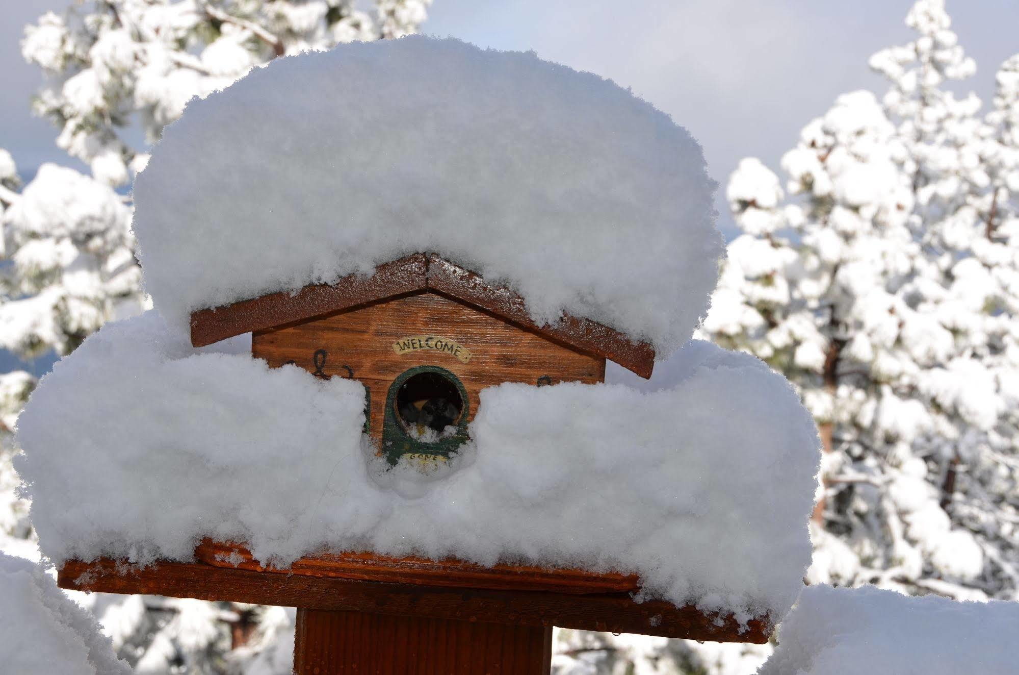Where Eagles Fly Bed & Breakfast Elk Point Exterior photo