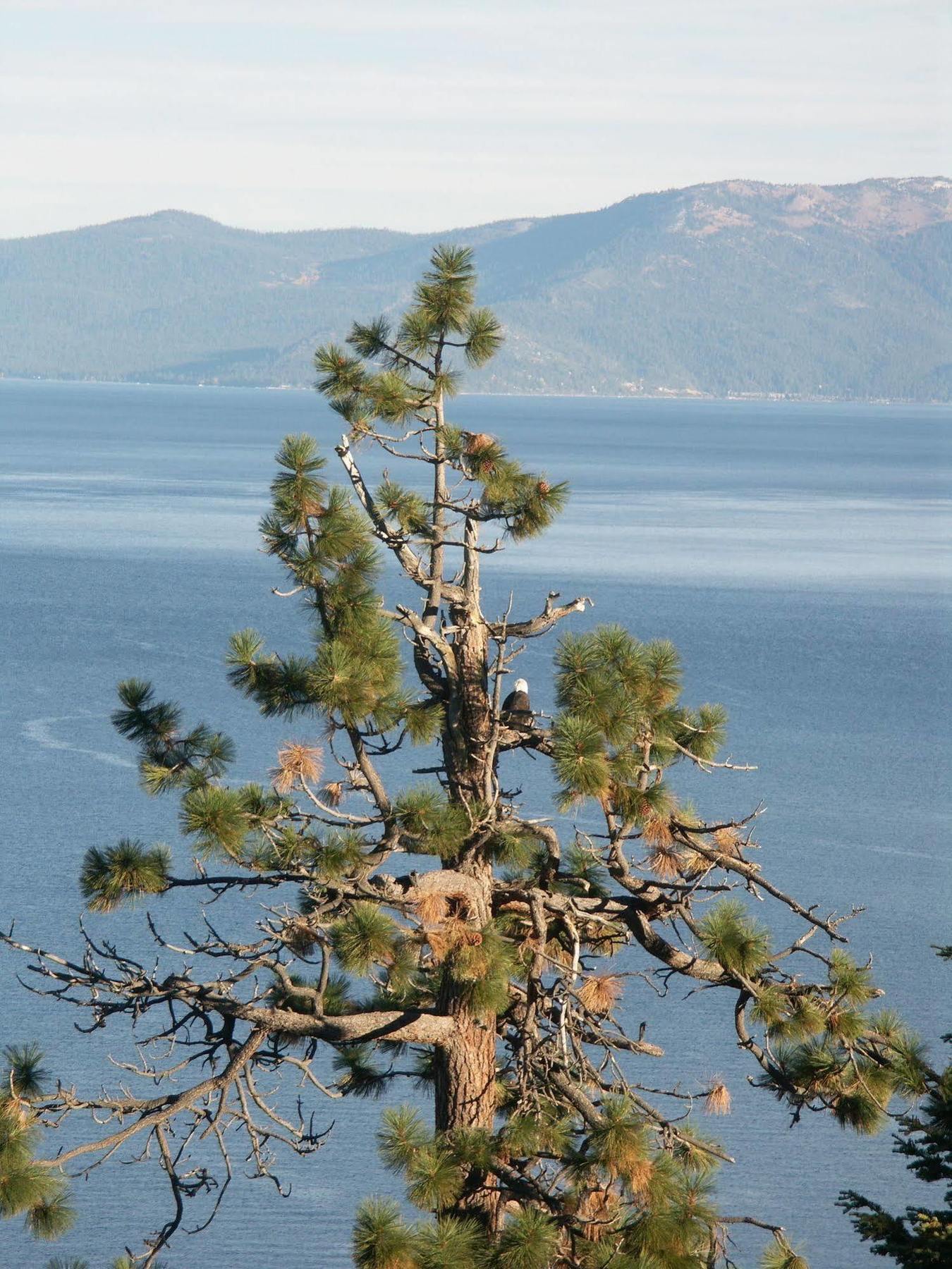 Where Eagles Fly Bed & Breakfast Elk Point Exterior photo